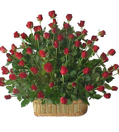 COD A0033_150 rosas2