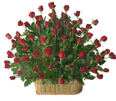 COD A0033_150 rosas2