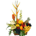 CANASTA DE FRUTAS 09