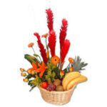 CANASTA DE FRUTAS 11