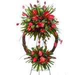CORONA 22