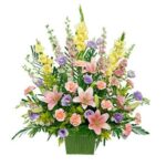 INAGURACIÓN / ANIVERSARIO 05