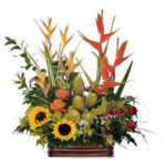 INAGURACIÓN / ANIVERSARIO 11