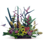 INAGURACIÓN / ANIVERSARIO 14