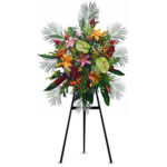 INAGURACIÓN / ANIVERSARIO 20