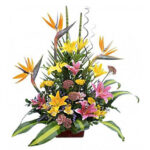 INAGURACIÓN / ANIVERSARIO 01