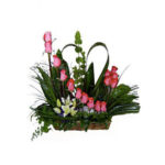 INAGURACIÓN / ANIVERSARIO 02