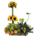 INAGURACIÓN / ANIVERSARIO 03