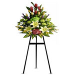 INAGURACIÓN / ANIVERSARIO 16