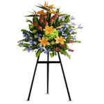 INAGURACIÓN / ANIVERSARIO 17