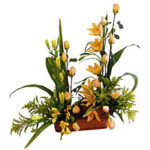 INAGURACIÓN / ANIVERSARIO 06