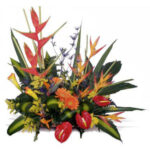 INAGURACIÓN / ANIVERSARIO 08