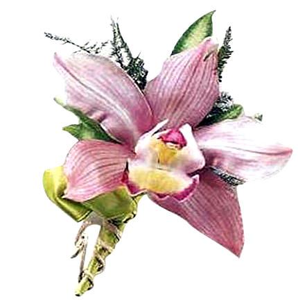 COD OFP0010_10 Orquidea Cymbidium - Imagen 1