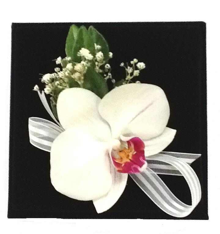 COD OFP001_este Orquídea Blanca 02 - Imagen 1