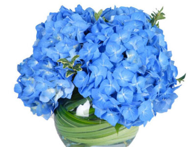 COD. CM 006_Blue_Hydrangea_-Wedding_Flowers_-_Bubble_Bowl_-_Wedding_Centerpiece_1024x1024