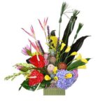 INAGURACIÓN / ANIVERSARIO 04