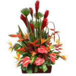 INAGURACIÓN / ANIVERSARIO 12