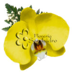 Orquídea Amarilla