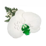 Orquídea Blanca centro Verde