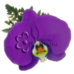 Orquidea Morada