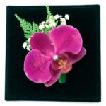 Orquidea Morada Natural