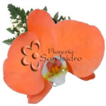 Orquidea Naranja
