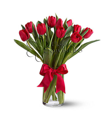 jarron-10-tulipanes-rojos-floreria-san-isidro