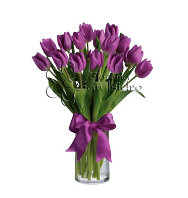 jarron-15-tulipanes-morados-floreria-san-isidro
