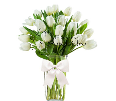 jarron-20-tulipanes-blancos-floreria-san-isidro