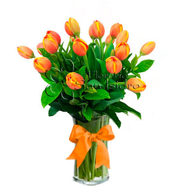 jarron-20-tulipanes-naranjas-floreria-san-isidro