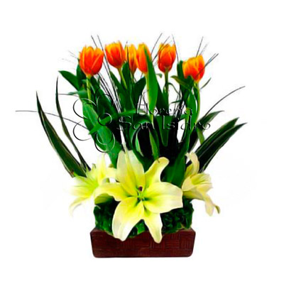 Arreglo de Tulipanes 03 – Floreria San Isidro ® | Florerias en Lima, Enviar  Flores Perú, Florerias