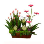 Arreglo de Tulipanes 06