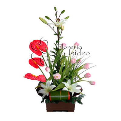 Arreglo de Tulipanes 07 – Floreria San Isidro ® | Florerias en Lima, Enviar  Flores Perú, Florerias