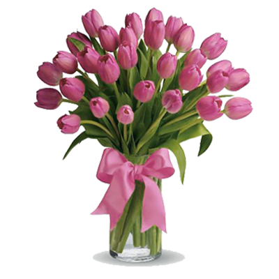 imagen-tulipanes-cat-floreria-san-isidro
