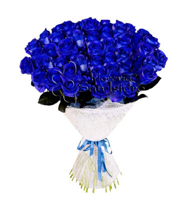 ramo-100-rosas-azules-floreria-san-isidro