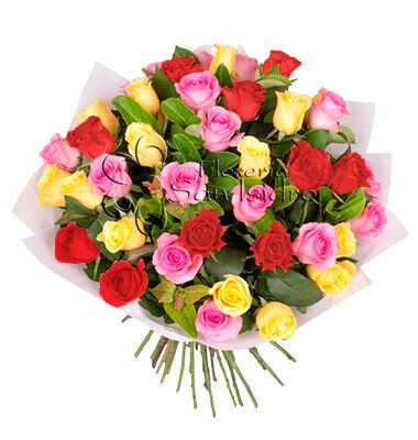 ramo-50-rosas-multicolor-floreria-san-isidro