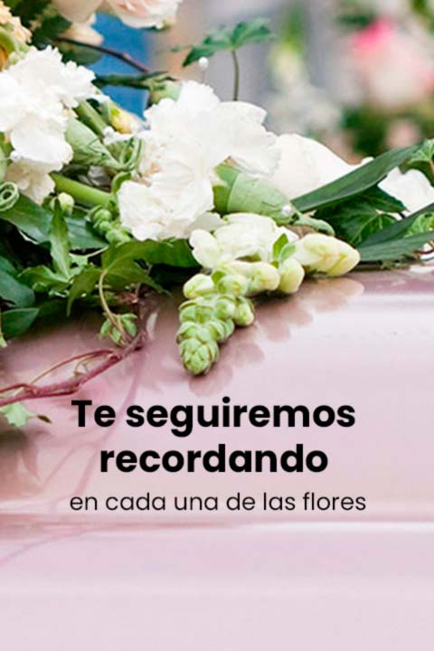 Floreria San Isidro ® | Florerias en Lima, Enviar Flores Perú, Florerias –  Mejor Floreria en Lima, Perú. Envío de Flores para cumpleaños, Arreglos  fúnebres, aniversarios, Tulipanes, box de flores, bonsais y