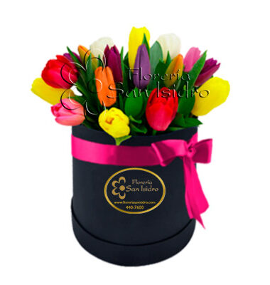 box-de-tulipanes-2--floreria-san-isidro